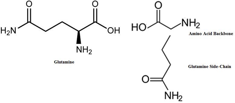 Glutamine