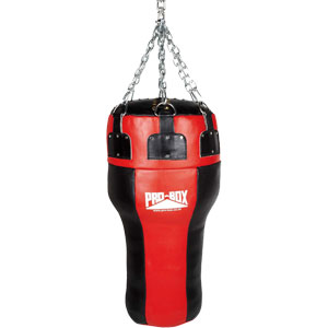 Uppercut Punching Bag