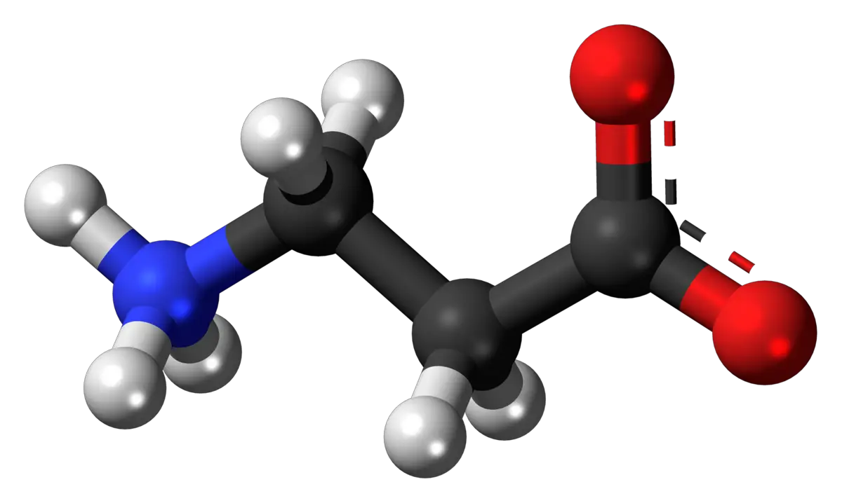 Beta Alanine Beta Alanine