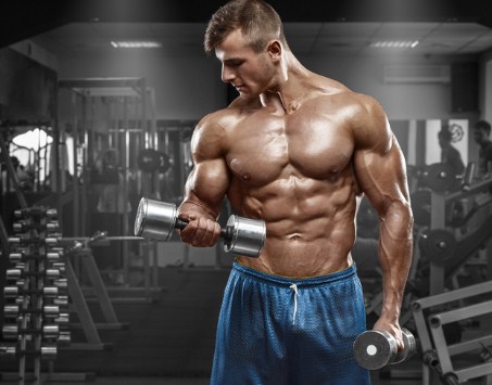 Weight Gainer vs Protein