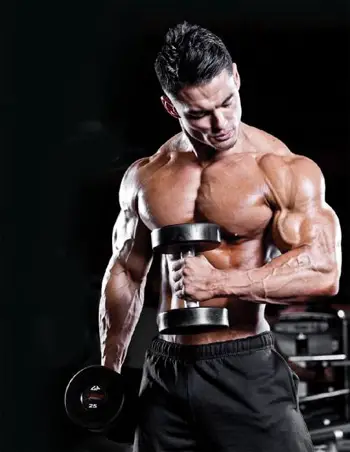 Hammer Curl Hammer Curl