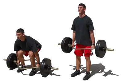 High Bar Squat