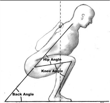 torque squat