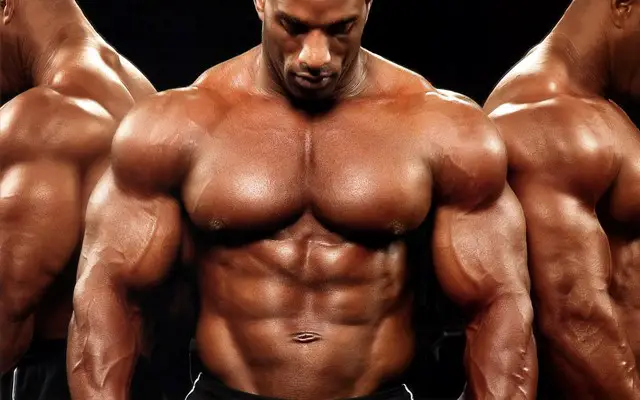 mass bulk muscle