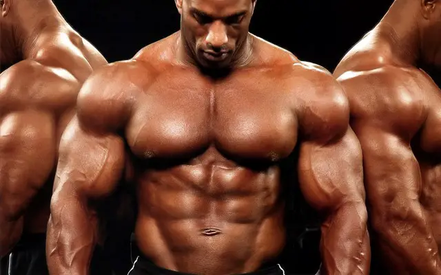 Masse bulk muscle