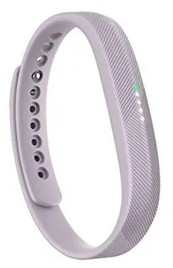 Fitbit Flex 2