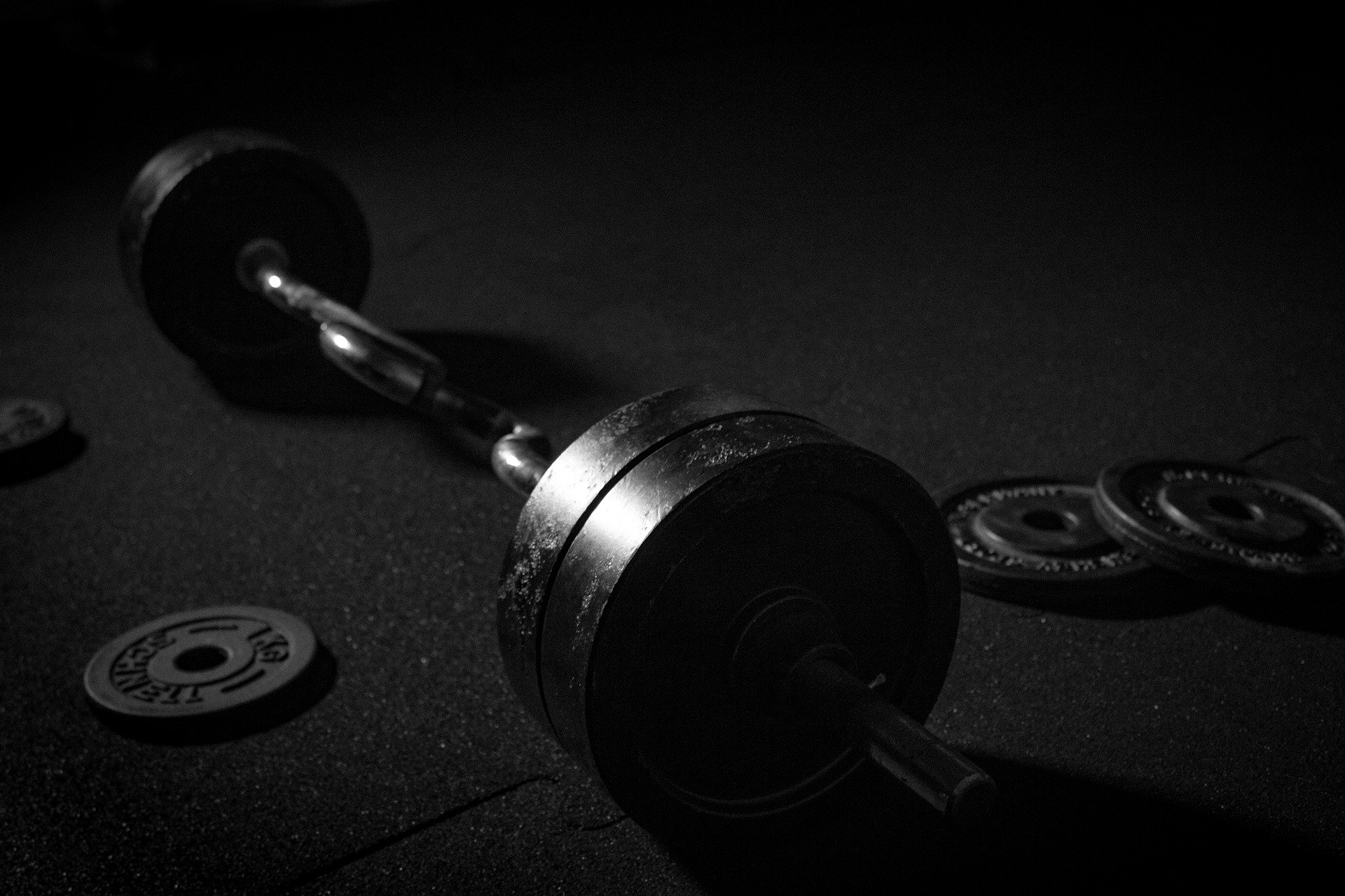 9 Best Curl Bar Exercises You Need to Try Garage Gym Builder