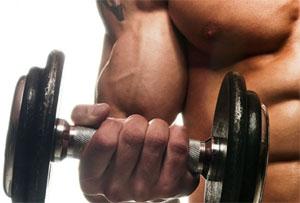 biceps workout with dumbbells