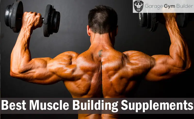 Best Muscle Building Supplements Review November 2018