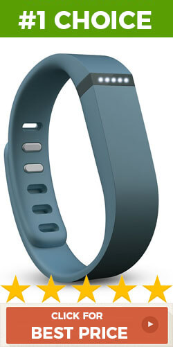 fitbit calorie tracker