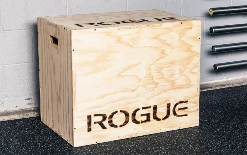squat box