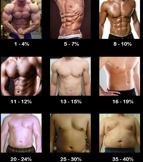 fat percentage