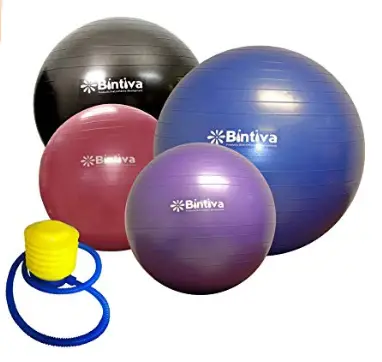 Bintiva Anti Burst Ball