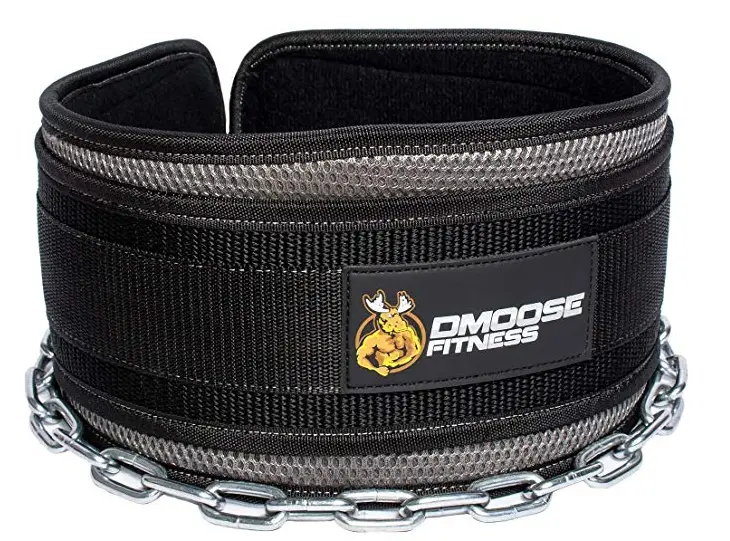 10 Best Dip Belts on the Market Right Now! GarageGymBuilder