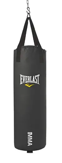 Everlast Heavy Bag