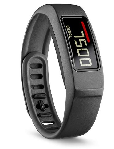 Garmin Vivofit2