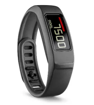 Garmin VivoFit 2