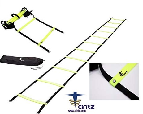 Cintz 30 Foot Fixed Rung Ladder