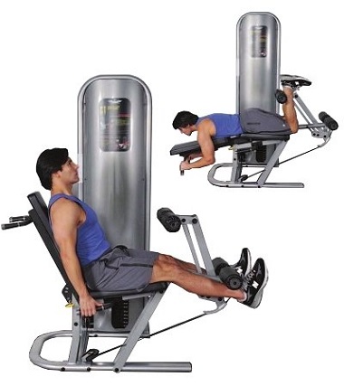 The Top 10 Leg Extension Machines - Garage Gym Ideas - Ultimate Home ...