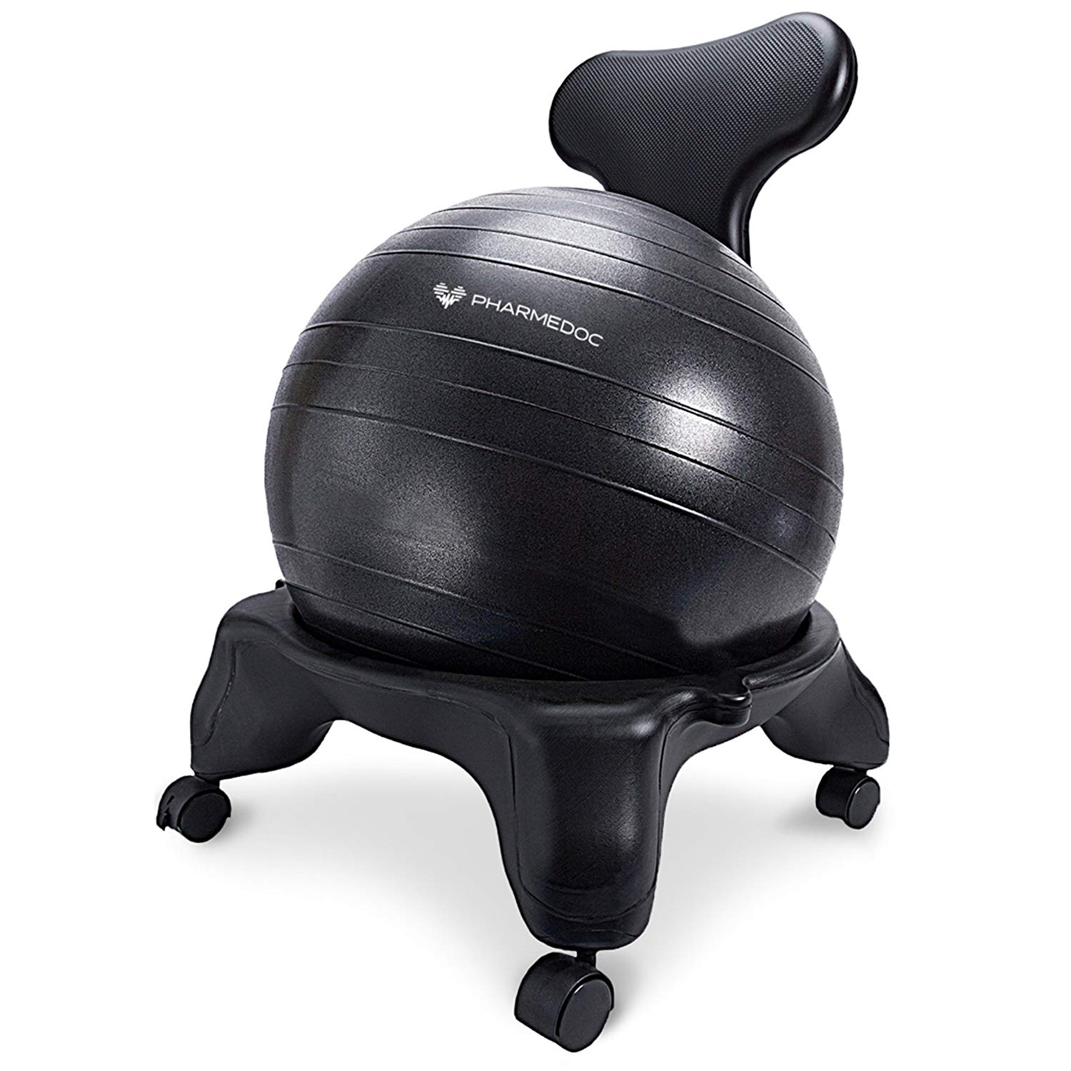 Top 10 Exercise Ball Chairs Reviewed and Rated Garage Gym Ideas