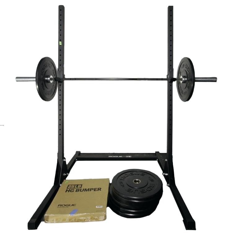 Rogue S2 Squat Stand Review January 2019