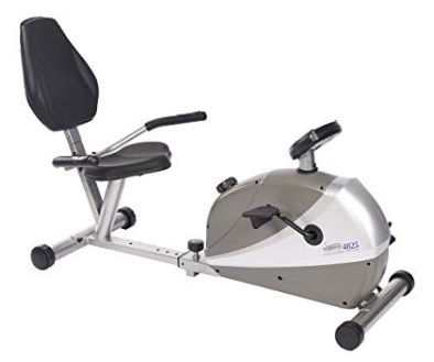 Stamina 4825 Magnetic Resistance Bike