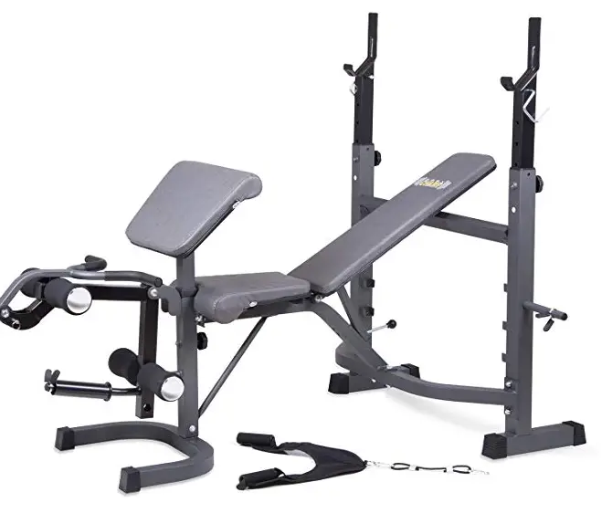 Best Bench Press Machine Reviews and Buying Guide GGB