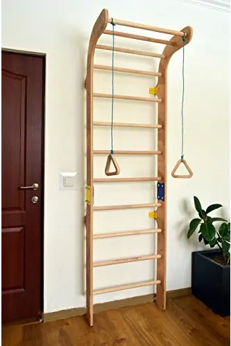 Dani Indoor Wooden Wall Bars