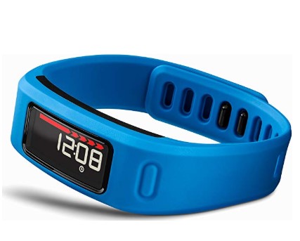 Garmin VivoFit