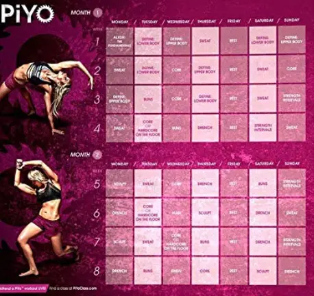 Zomlan Piyo Workout