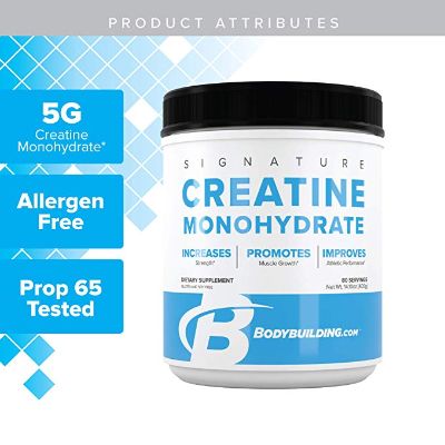 Bodybuilding Signature Micronized Creatine Monohydrate