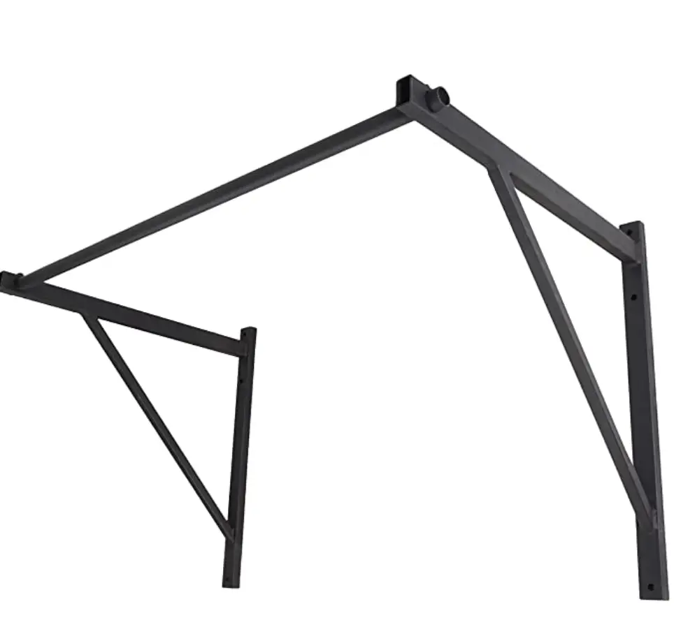 Best Wall & Ceiling Mounted PullUp Bars 2024 Garage Gym Builder