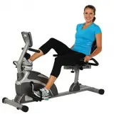 Exerpeutic Fitness Bike