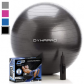 DynaPro Excercise Ball
