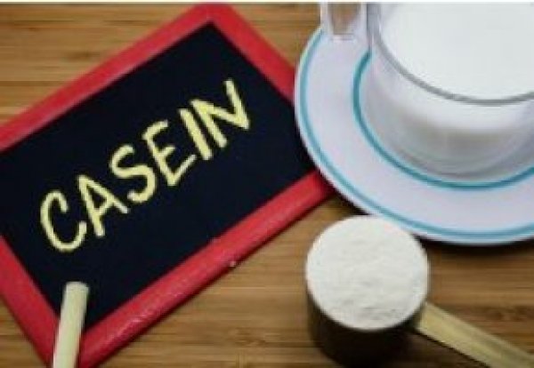 Best Casein Protein Supplements