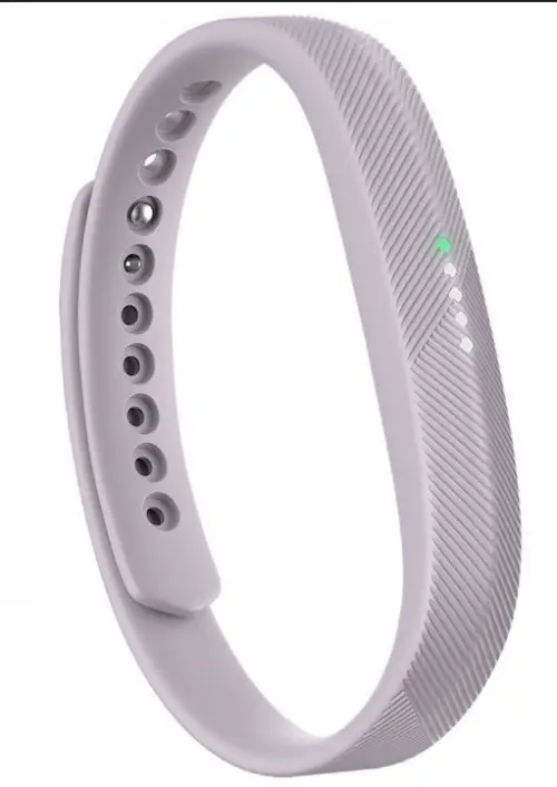 Fitbit Flex 2