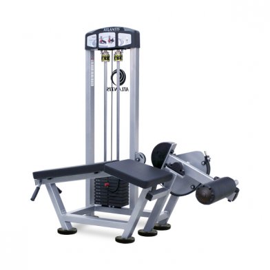 Best Leg Curl Machines Reviewed for keeping fit and in shape