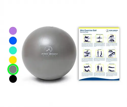 ProBody Pilates Mini Yoga ball