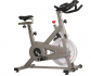 Sunny Indoor Exercise Cycle