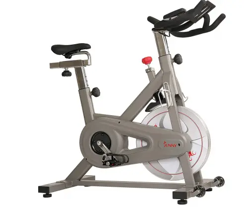 Sunny Indoor Exercise Cycle