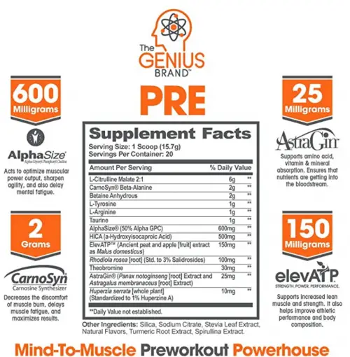 Genius Pre Workout Powder – All Natural Nootropic Preworkout