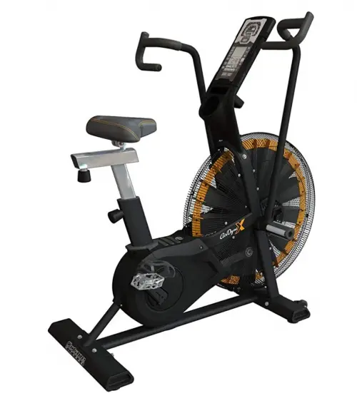 Octane Fitness Airdyne ADX Fan Bike