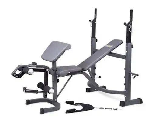 Body Champ Olympic Weight Bench with Preacher Curl