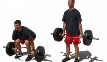 Low bar vs. High Bar Squats