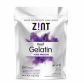 Zint Pure Protein