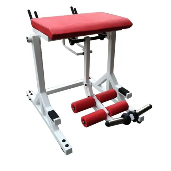 The Benefits of the Reverse Hyper